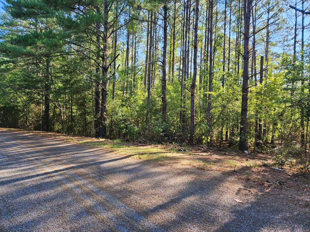 2178 New Zion Road Utica, MS 39175 - Photo 5 of 9 Photo 5