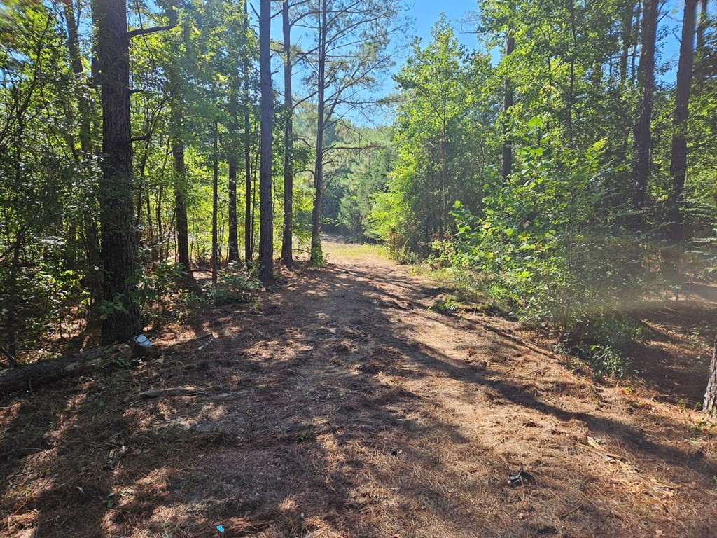 2178 New Zion Road Utica, MS 39175 - Photo 6 of 9 Photo 6