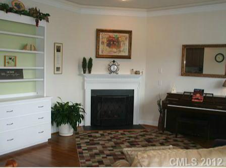 6169 Caseys Side Way Fort Mill, SC 29708 - Photo 4 of 13 a living room with a fireplace and a potted plant
