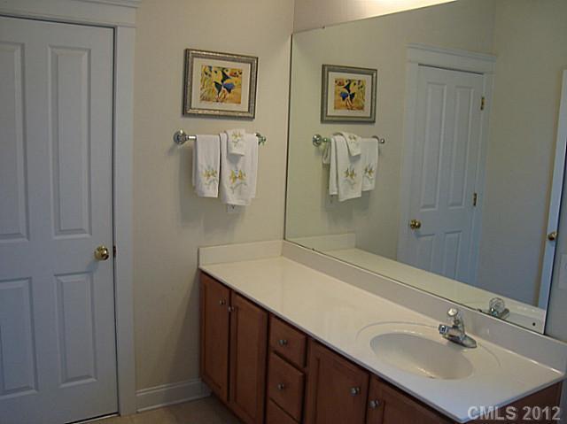 6169 Caseys Side Way Fort Mill, SC 29708 - Photo 9 of 13 a bathroom with a sink and mirror