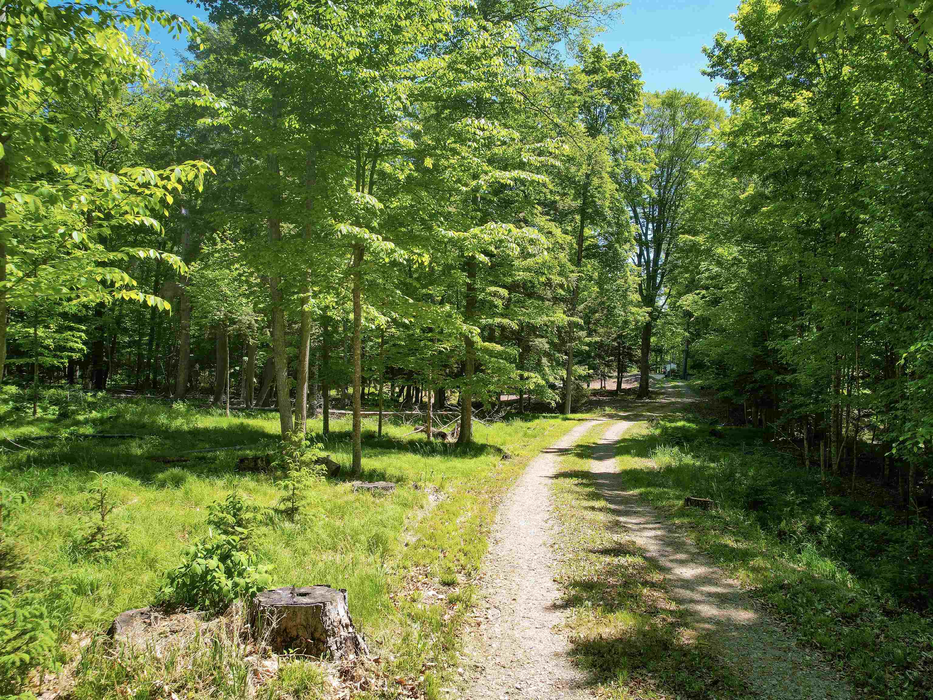 N9988 Neumeier Road Wausaukee, WI 54177 - Photo 15 of 19