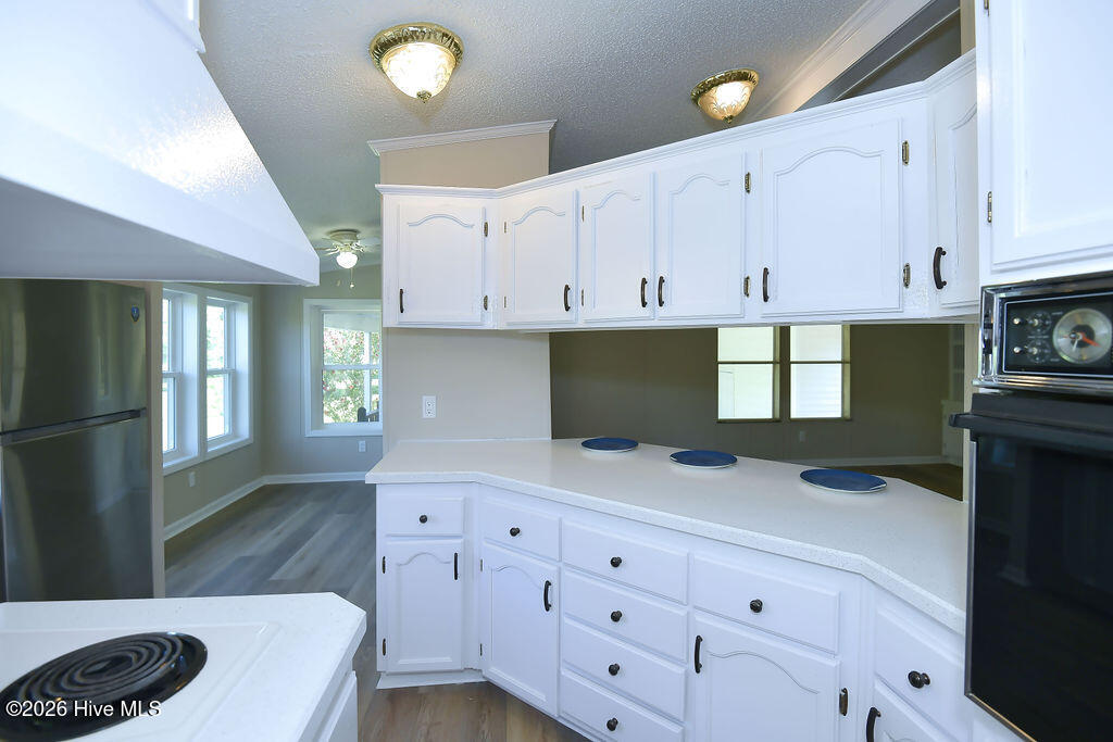 321 White Rock Road Vass, NC 28394 - Photo 11 of 36