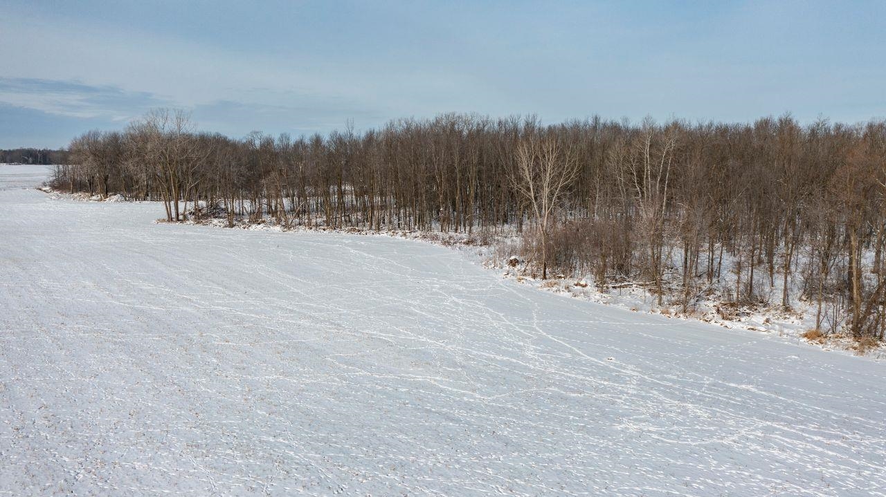 County Road East Cecil, WI 54111 - Photo 14 of 42