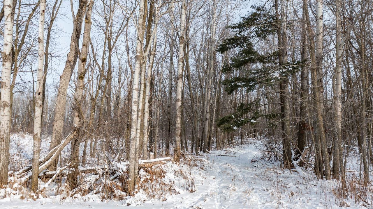 County Road East Cecil, WI 54111 - Photo 18 of 42