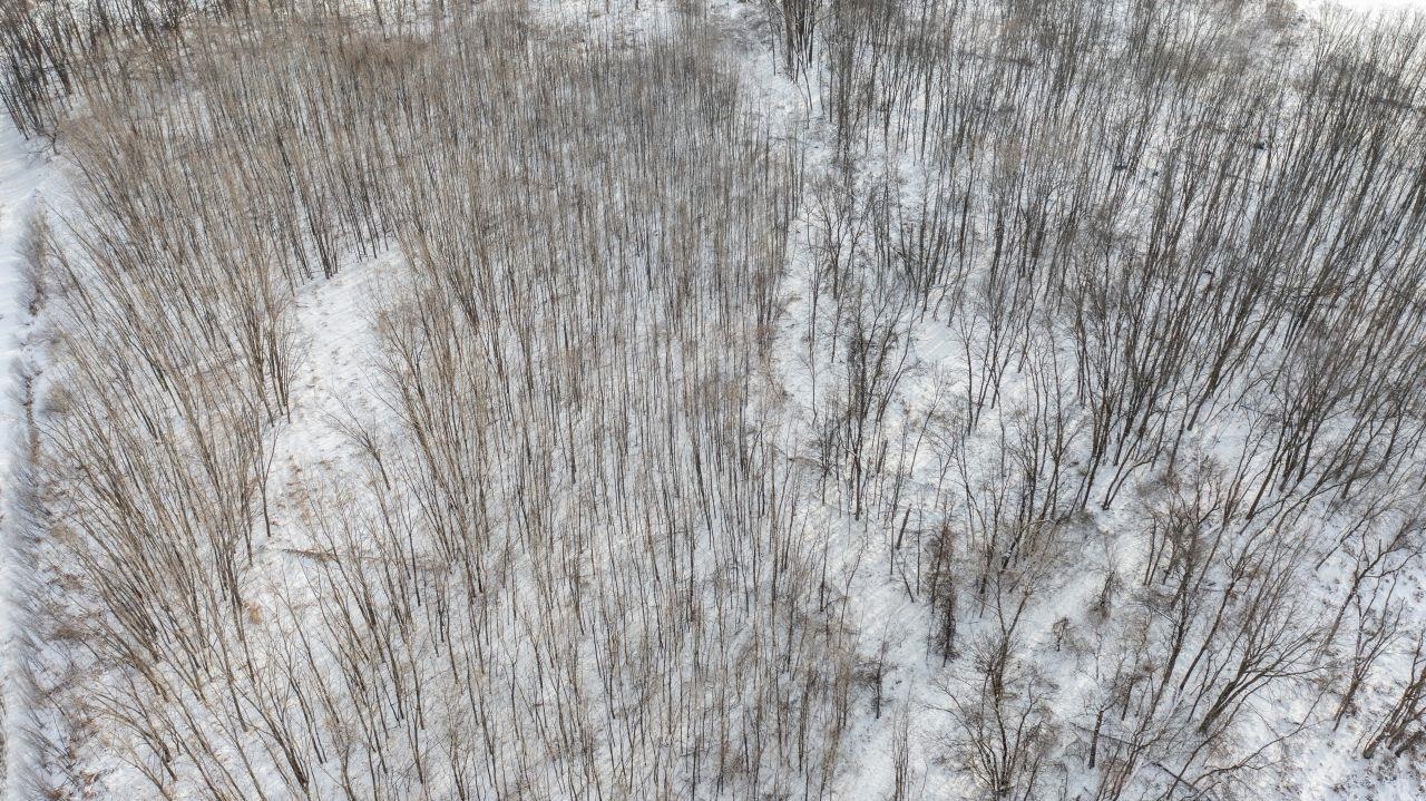 County Road East Cecil, WI 54111 - Photo 21 of 42