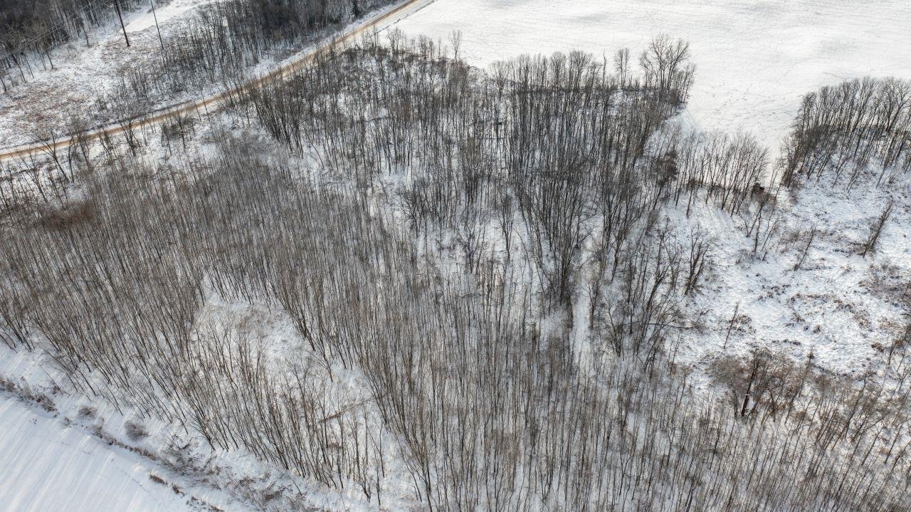 County Road East Cecil, WI 54111 - Photo 22 of 42