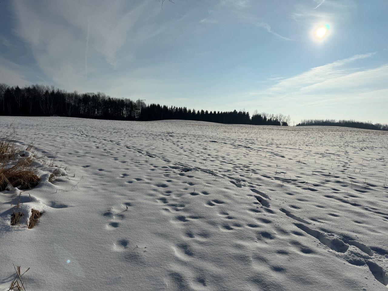 County Road East Cecil, WI 54111 - Photo 23 of 42