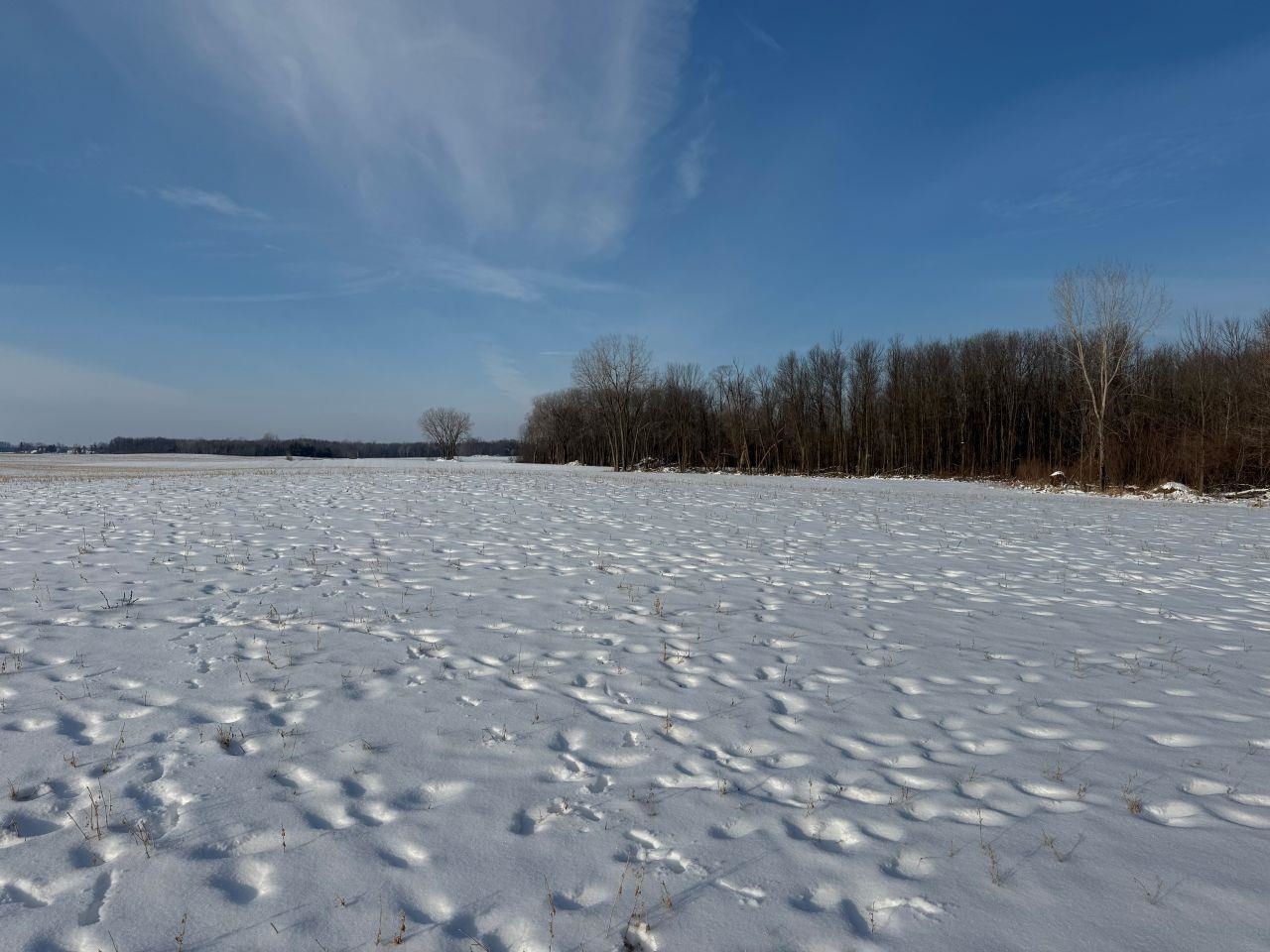 County Road East Cecil, WI 54111 - Photo 24 of 42