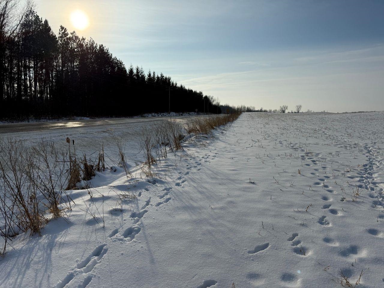 County Road East Cecil, WI 54111 - Photo 25 of 42