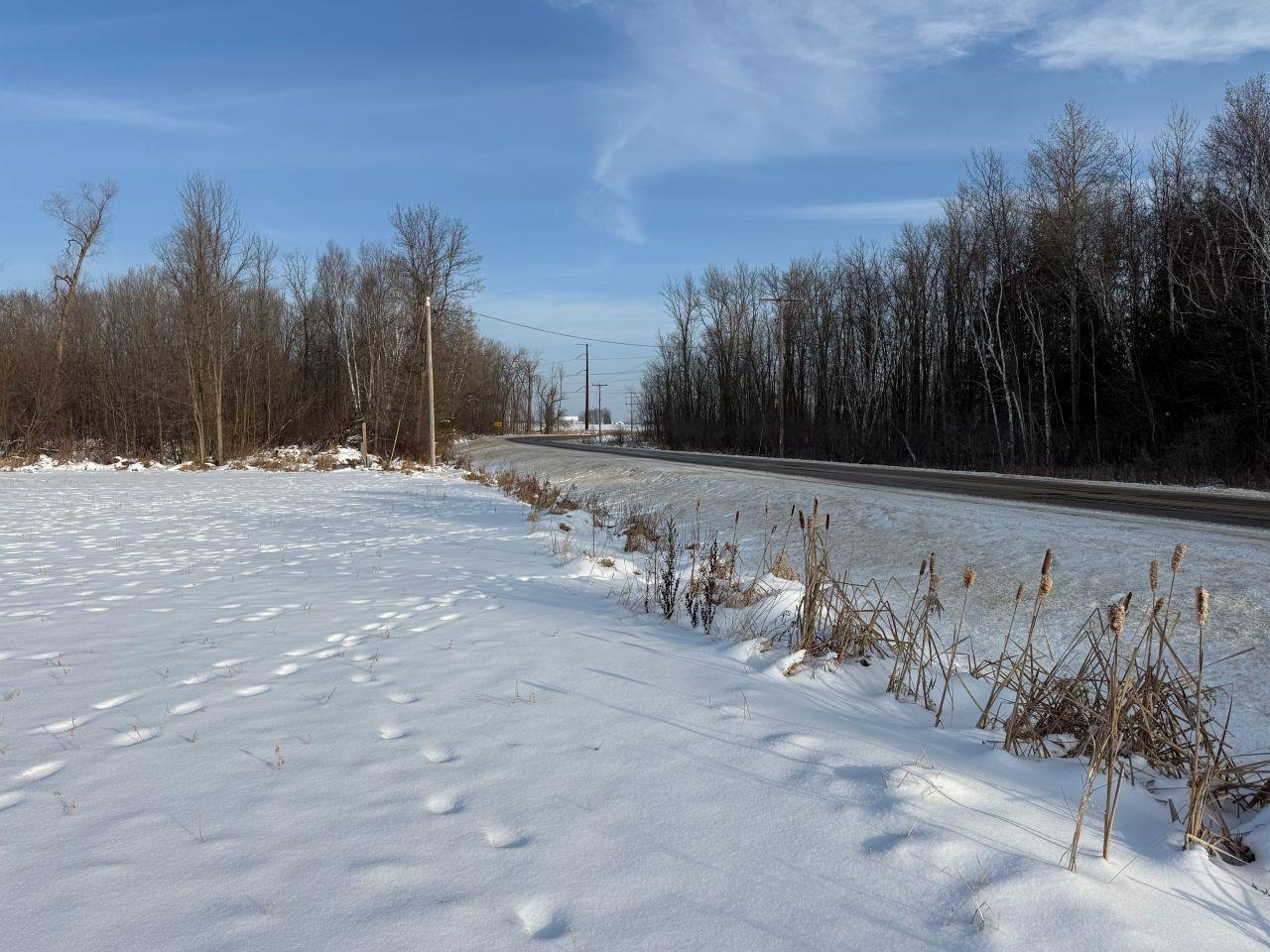 County Road East Cecil, WI 54111 - Photo 26 of 42
