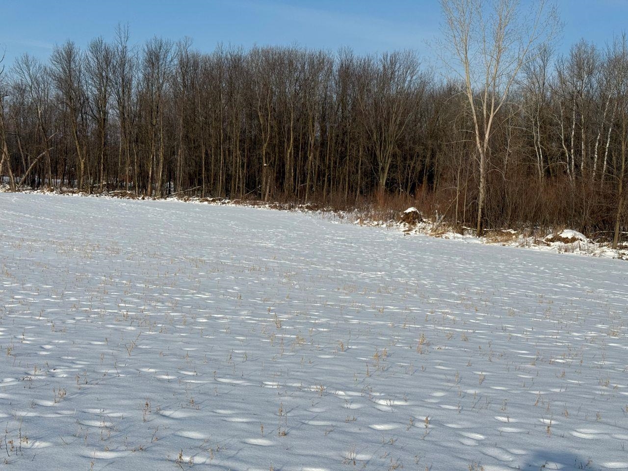 County Road East Cecil, WI 54111 - Photo 27 of 42