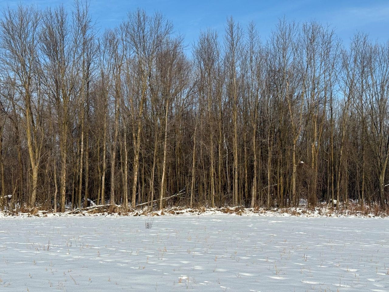 County Road East Cecil, WI 54111 - Photo 28 of 42