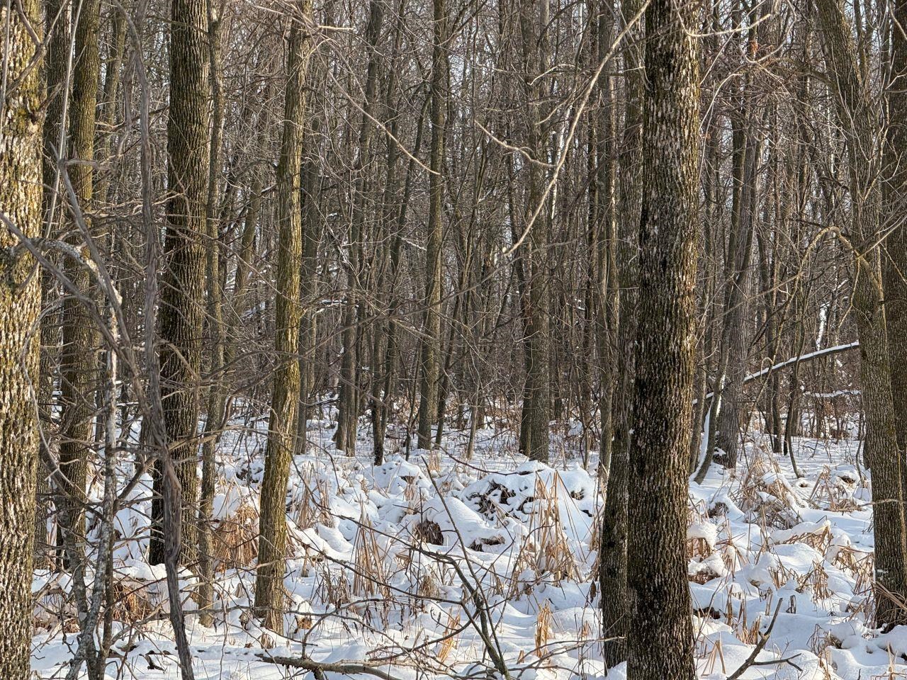 County Road East Cecil, WI 54111 - Photo 29 of 42