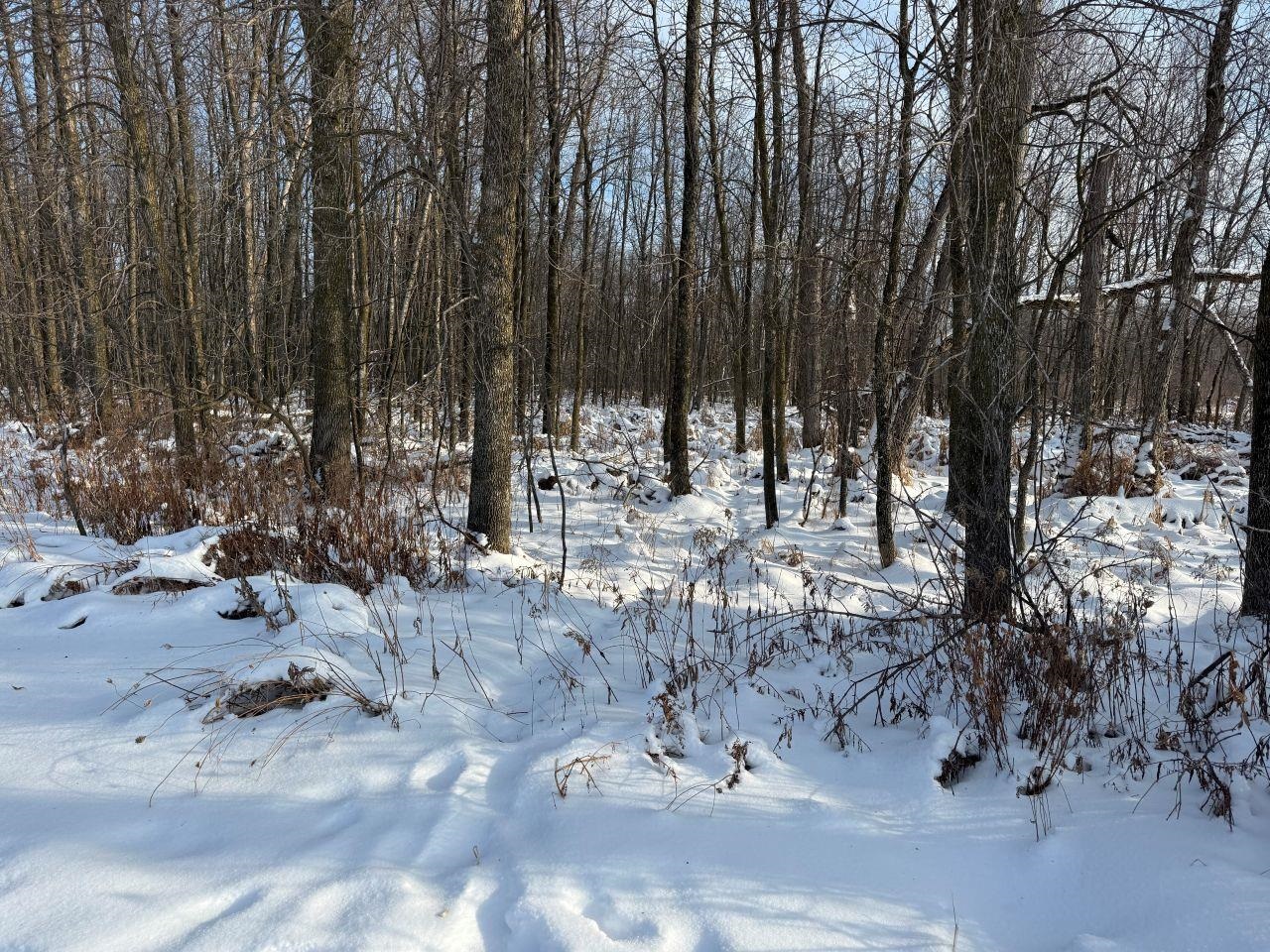 County Road East Cecil, WI 54111 - Photo 30 of 42