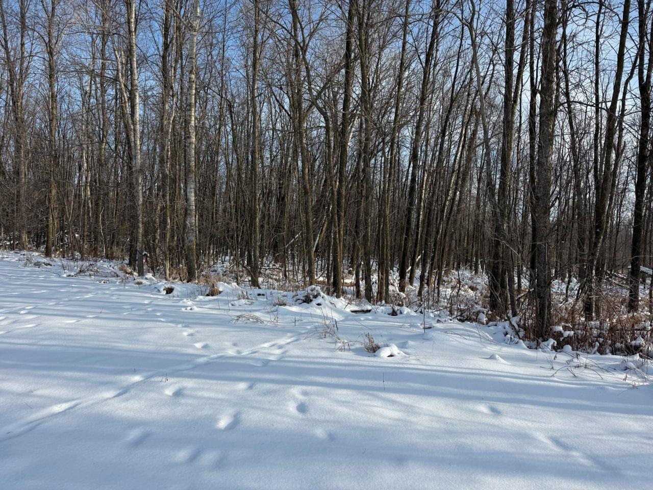 County Road East Cecil, WI 54111 - Photo 31 of 42