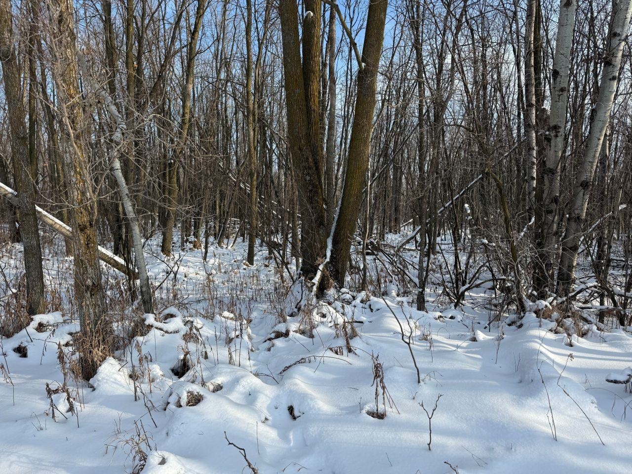 County Road East Cecil, WI 54111 - Photo 32 of 42