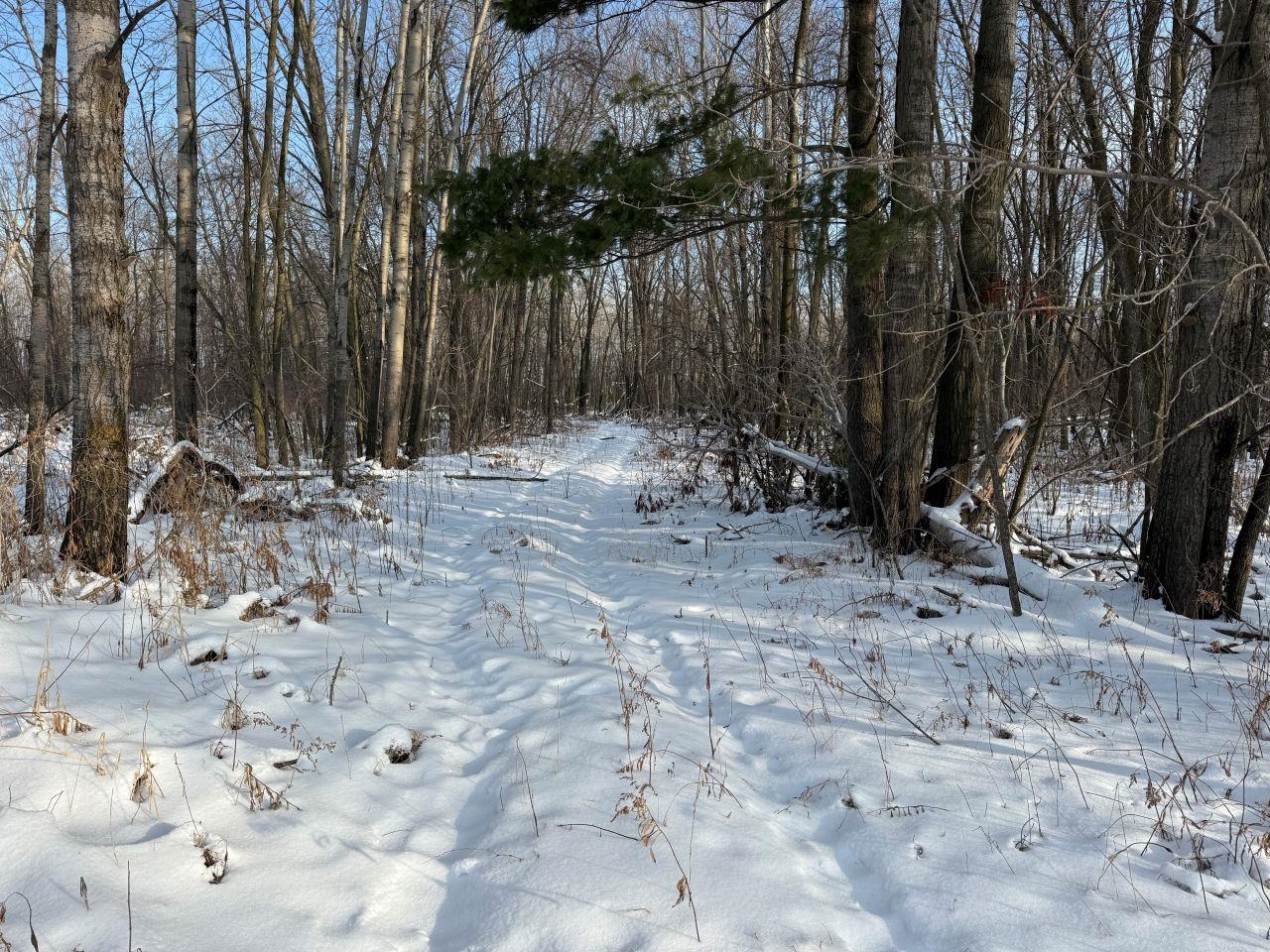 County Road East Cecil, WI 54111 - Photo 33 of 42