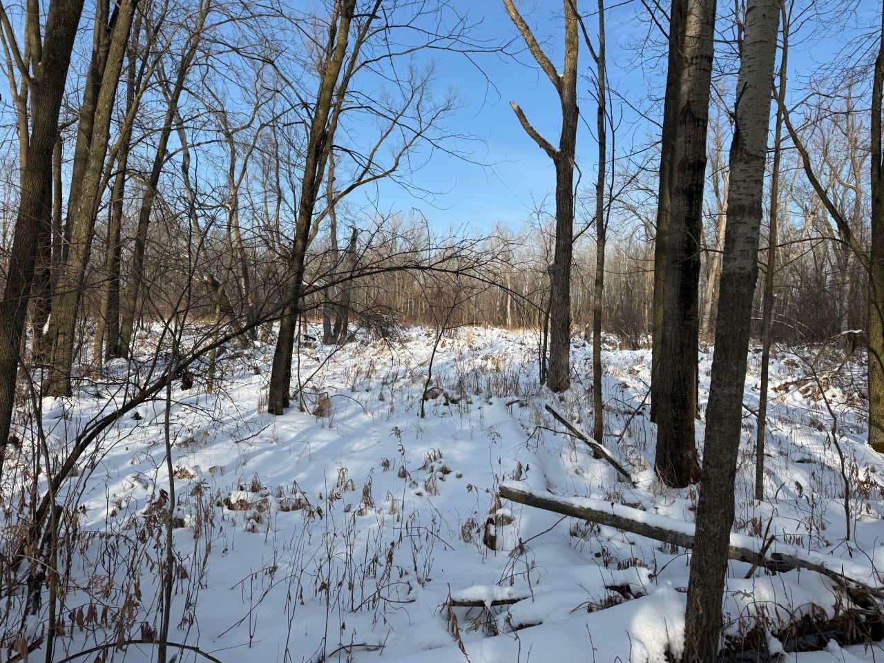 County Road East Cecil, WI 54111 - Photo 34 of 42