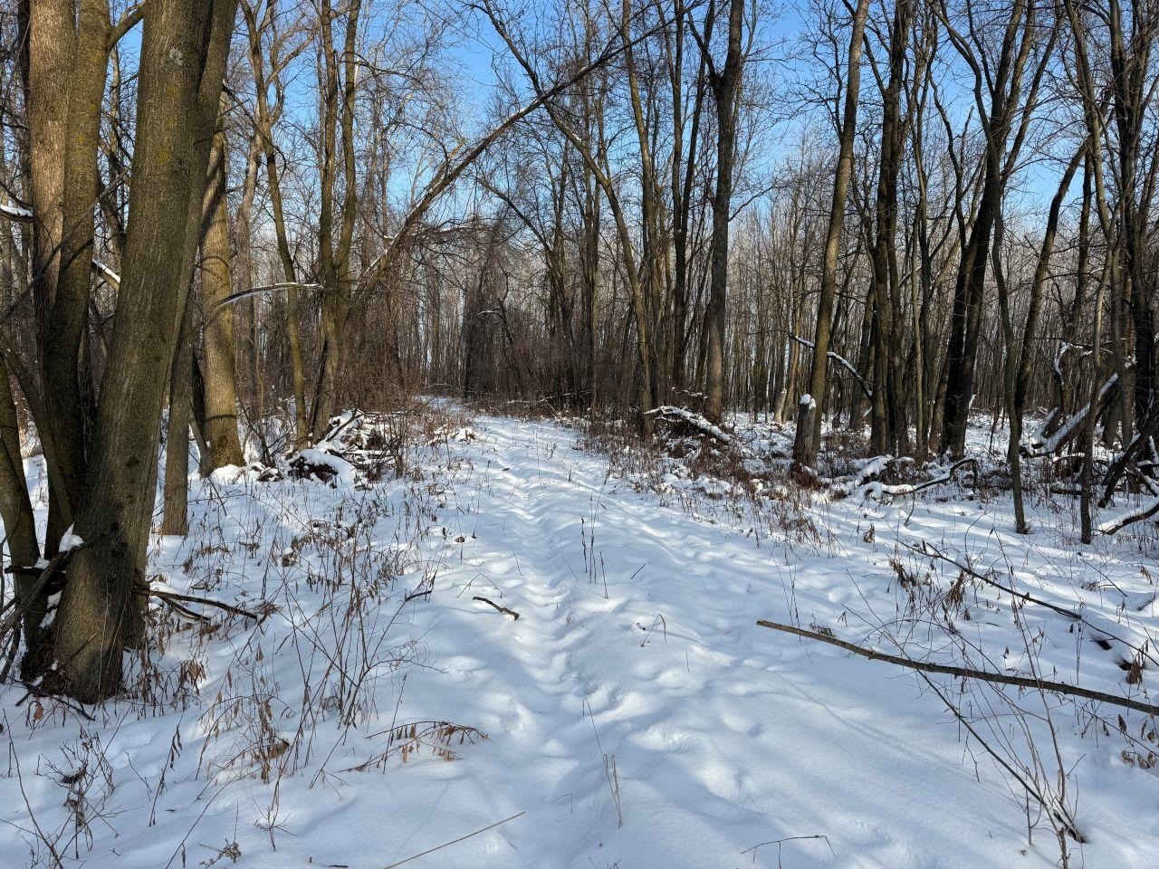 County Road East Cecil, WI 54111 - Photo 35 of 42