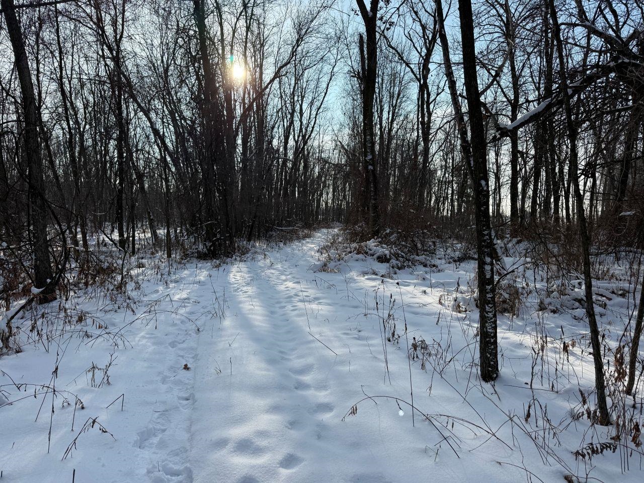 County Road East Cecil, WI 54111 - Photo 38 of 42