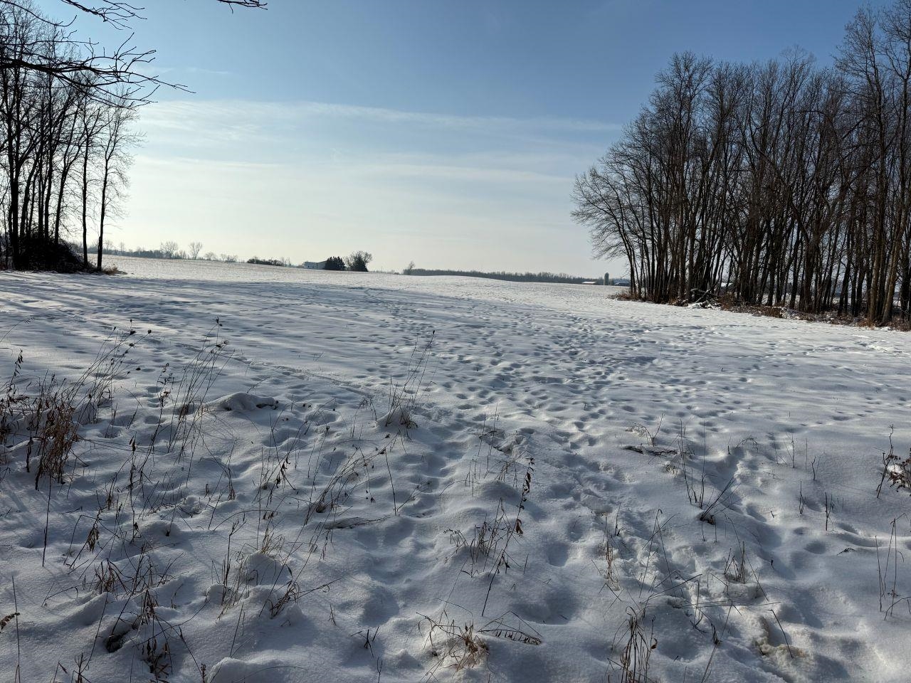 County Road East Cecil, WI 54111 - Photo 40 of 42