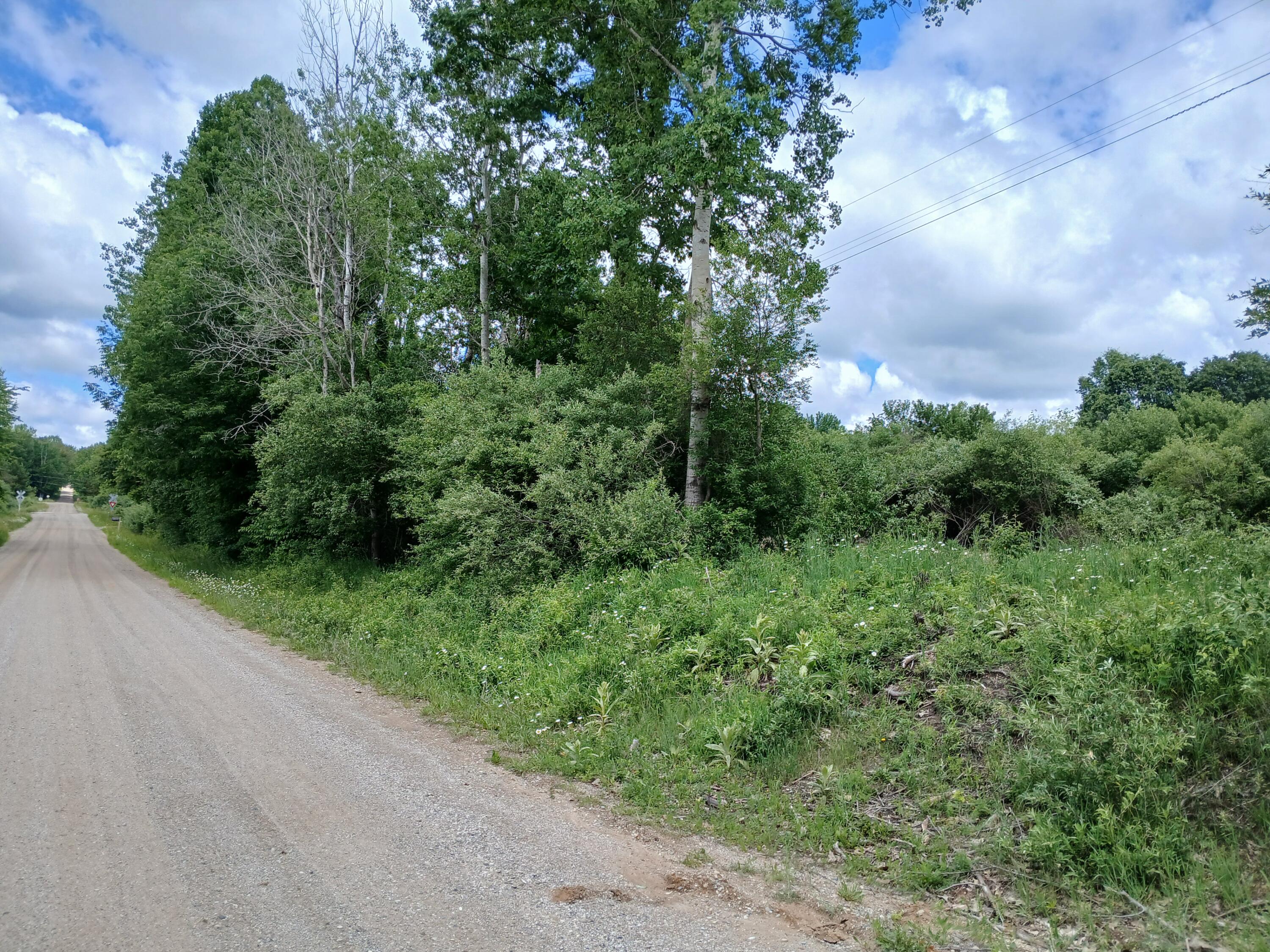 24 East Beyer Road Fountain, MI 49410 - Photo 8 of 10 Road from E corner