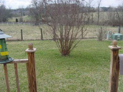 1560 Springfield Drive Lexington, KY 40515 - Photo 2 of 3 Photo 2
