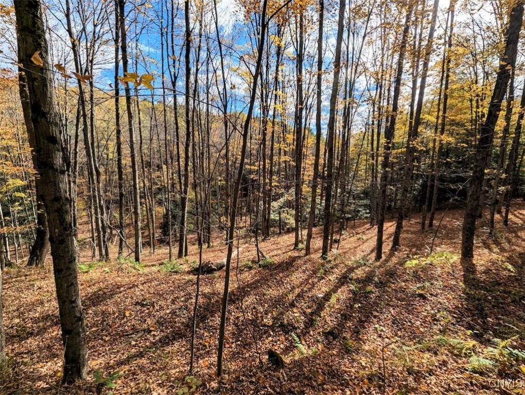 Akins Road North Cohocton, NY 14826 - Photo 11 of 23