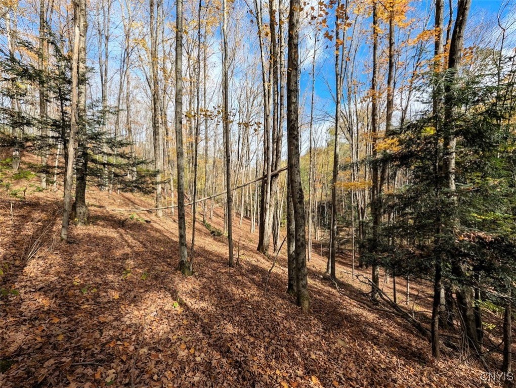 Akins Road North Cohocton, NY 14826 - Photo 12 of 23