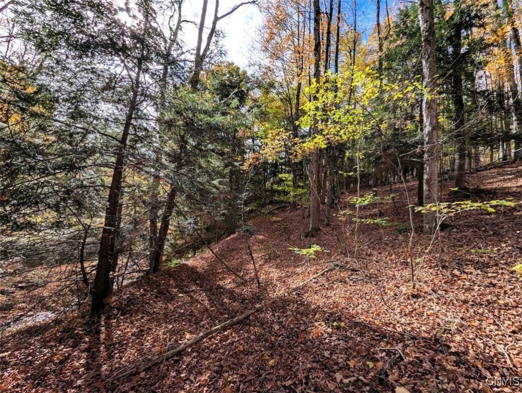 Akins Road North Cohocton, NY 14826 - Photo 13 of 23