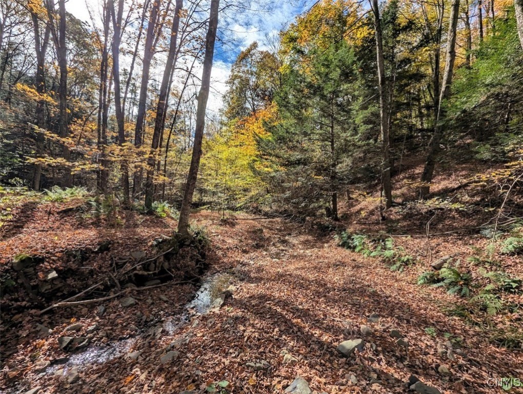 Akins Road North Cohocton, NY 14826 - Photo 14 of 23