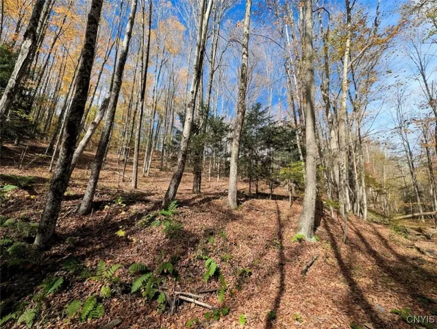 $32,900 | Akins Road North, Cohocton, NY 14826