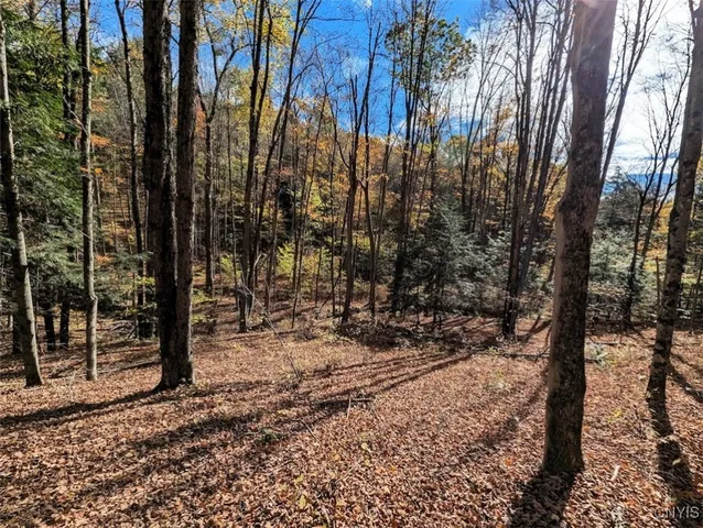 $32,900 | Akins Road North, Cohocton, NY 14826