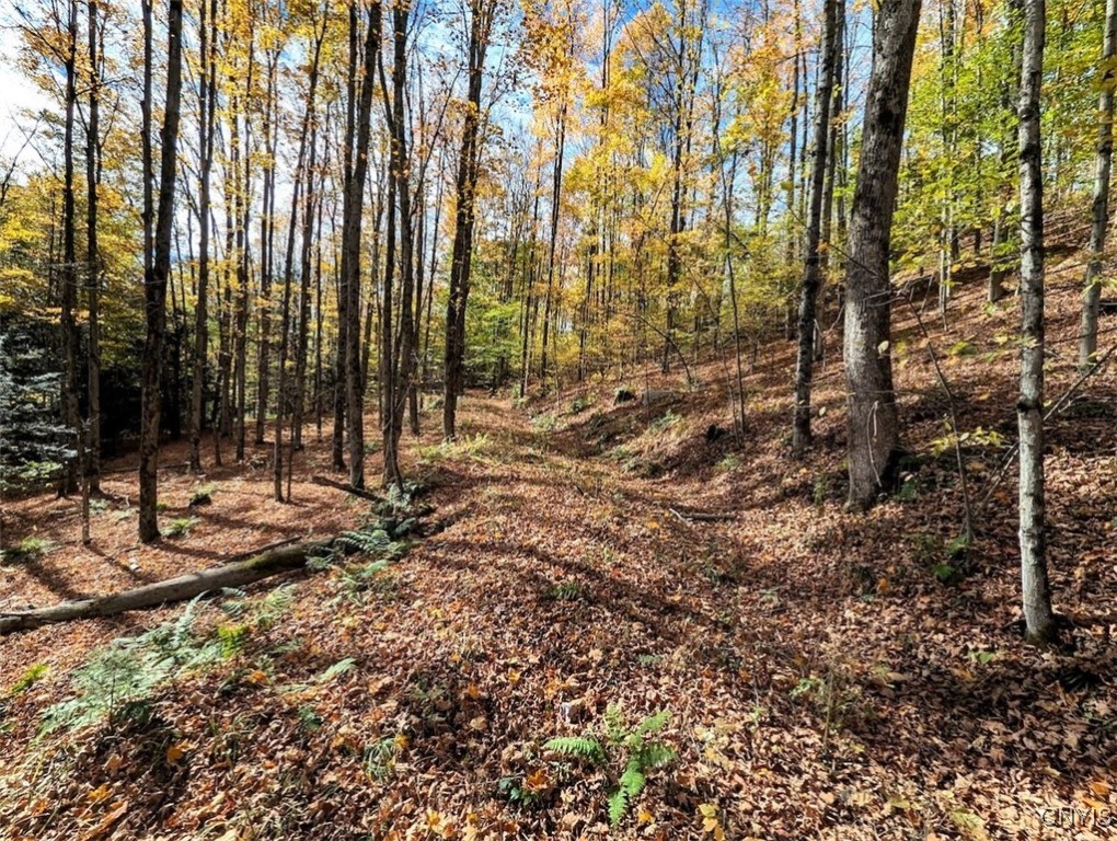 Akins Road North Cohocton, NY 14826 - Photo 17 of 23