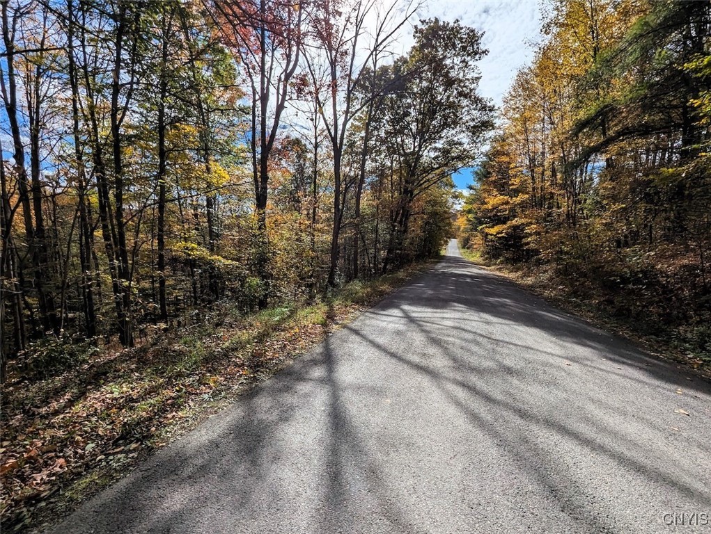 Akins Road North Cohocton, NY 14826 - Photo 18 of 23