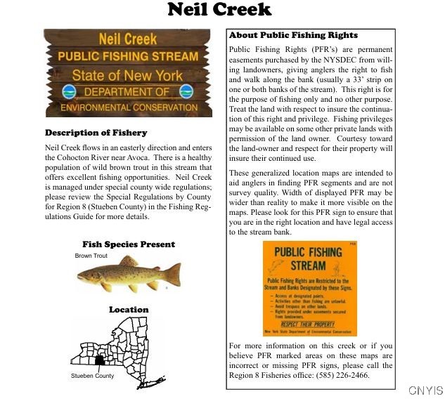 Akins Road North Cohocton, NY 14826 - Photo 20 of 23