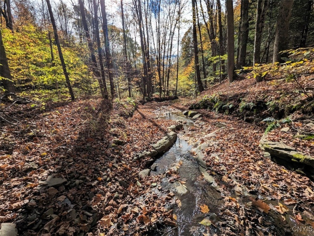 Akins Road North Cohocton, NY 14826 - Photo 2 of 23