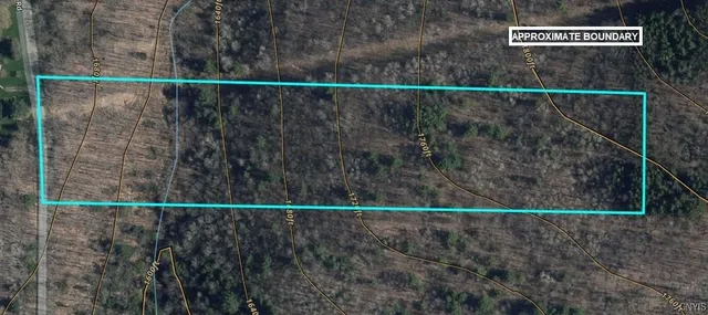 $32,900 | Akins Road North, Cohocton, NY 14826