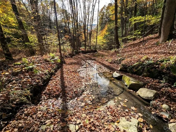 $32,900 | Akins Road North, Cohocton, NY 14826