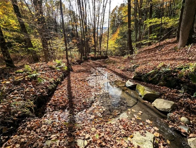 $32,900 | Akins Road North, Cohocton, NY 14826