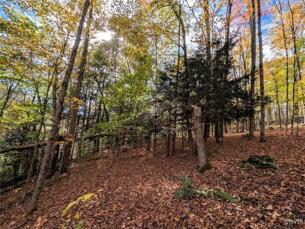 $32,900 | Akins Road North, Cohocton, NY 14826