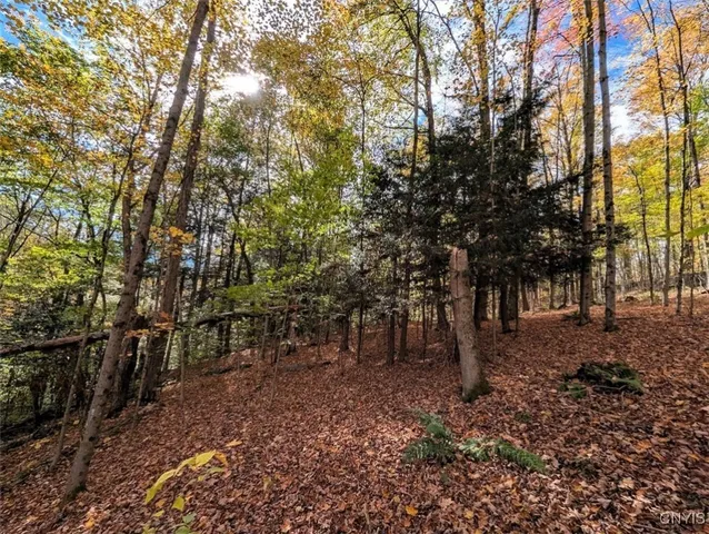 $32,900 | Akins Road North, Cohocton, NY 14826