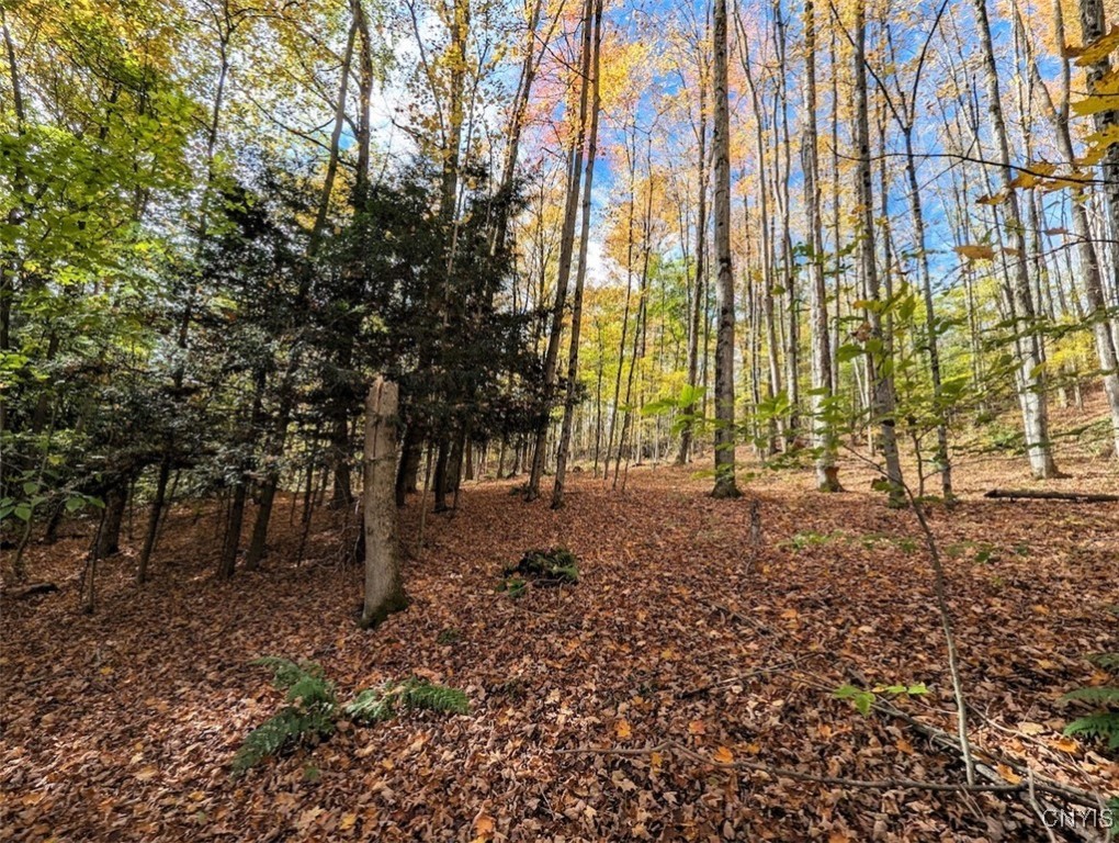 Akins Road North Cohocton, NY 14826 - Photo 7 of 23