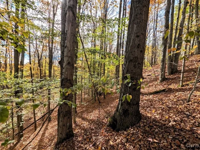 $32,900 | Akins Road North, Cohocton, NY 14826