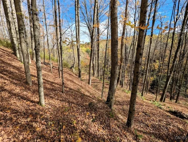 $32,900 | Akins Road North, Cohocton, NY 14826