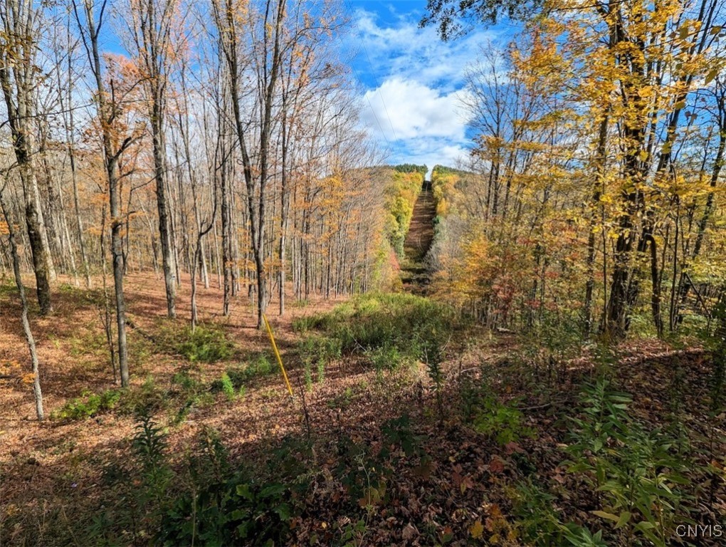 Akins Road North Cohocton, NY 14826 - Photo 10 of 23