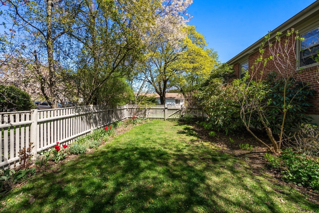 50 Mary Ellen Road Newton, MA 02468 - Photo 17 of 22 a view of a backyard