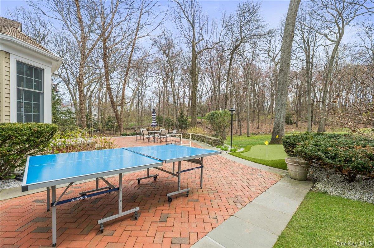 4 Springwood Path Syosset, NY 11791 - Photo 40 of 47 View of putting green and lawn from back patio.