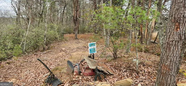 a view of wooden floor with a trees in the background
