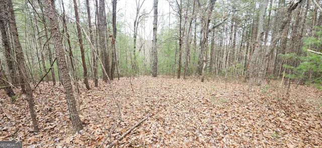 a view of small yard